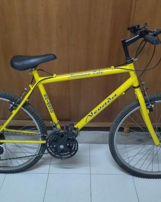 Mountain Bike misura adulto