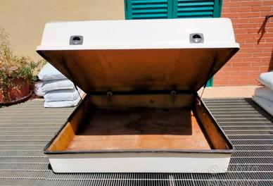 Bauliera vetroresina