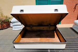 Bauliera vetroresina