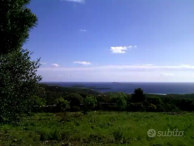 Terreno agricolo vista mare