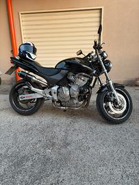 HONDA HORNET 600