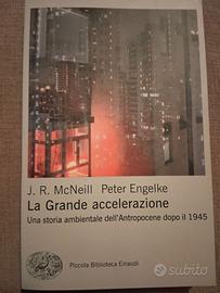 La grande accelerazione
