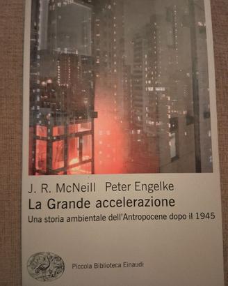 La grande accelerazione