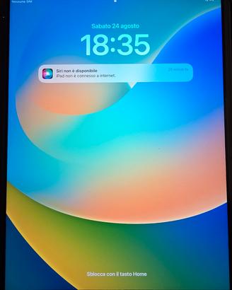 Display originale iPad 5 generazione