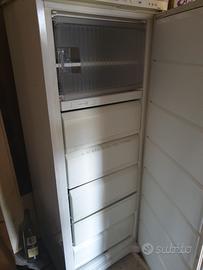 congelatore/freezer