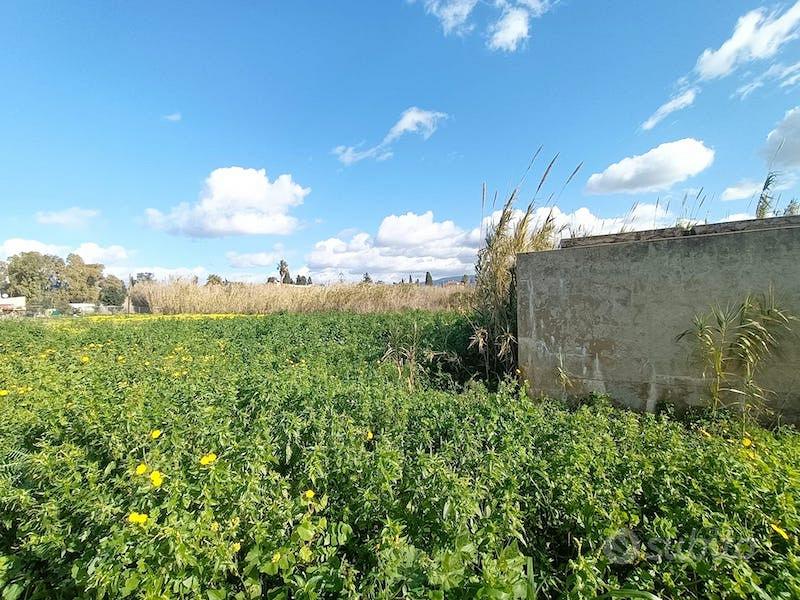 Ampio terreno pianeggiante a 400 metri dal mare - Vista 3