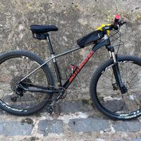 MTB bottecchia gavia 29 2021