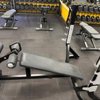 Panca declinata pure technogym