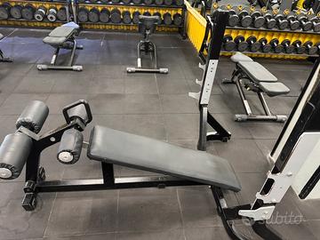 Panca declinata pure technogym