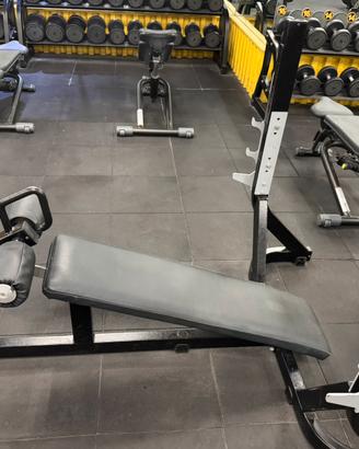 Panca declinata pure technogym