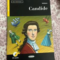 Libro “Candide”