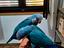 Immagine 2