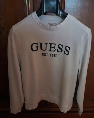 FELPE GUESS