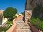 Immagine 7