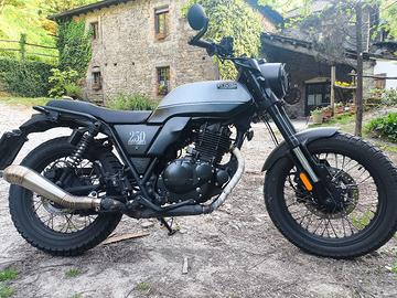 Brixton Glanville 250