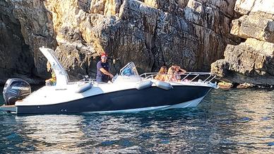 Barca quick silver con motore mercury