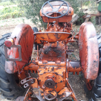 Venieri da collezione