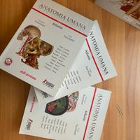 Atlante anatomia umana Anastasi