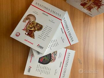 Atlante anatomia umana Anastasi