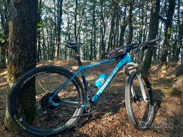 MTB Torpado Robot A tg L 29