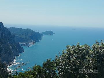 5terre agosto/settembre con bus diretto x mare