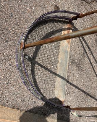 Retino arselle pesca