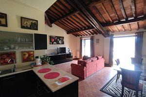 Camaiore, appartamento mansardato rustico