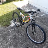  mtb Bottecchia