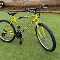 Bicicletta MTB