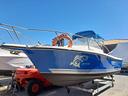 robalo-2140-mercury-verado-300-hp-f9-9