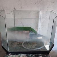 vasca acquario x tartarughe 