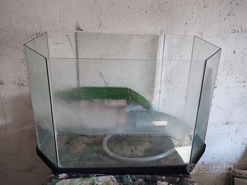 vasca acquario x tartarughe 