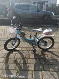 bicicletta 16 pollici bambina 4-6 anni