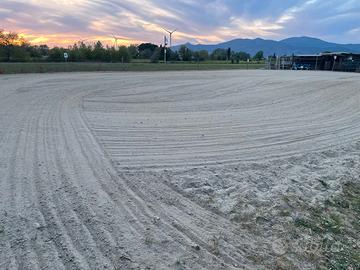 Pensioni per cavalli