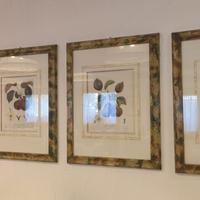 quadri stampe pomologie francaise