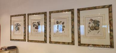 quadri stampe pomologie francaise