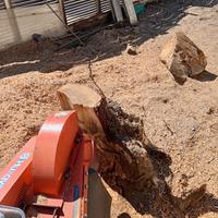 Rimozione/Fresatura ceppaie