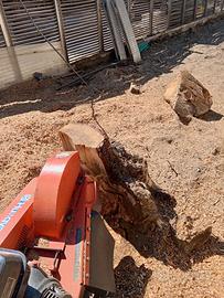 Rimozione/Fresatura ceppaie