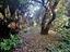 Immagine 26