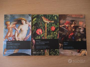 Libri vari seneca, jane austen, sommer