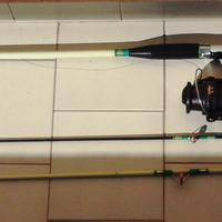 Canna da Pesca, Mulinello Daiwa e Accessori