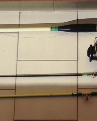 Canna da Pesca, Mulinello Daiwa e Accessori
