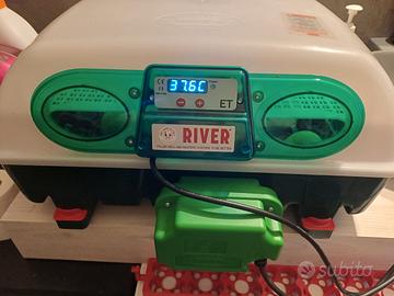incubatrice river system 