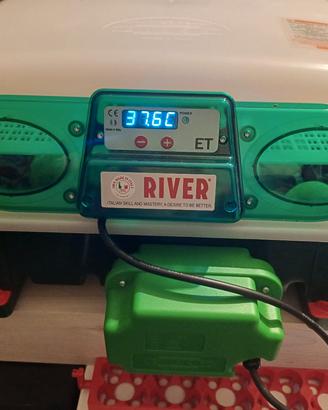 incubatrice river system 