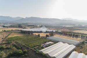 TER. AGRICOLO A CAPOTERRA