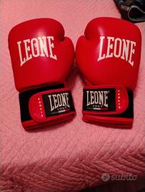 guanti da boxe 
