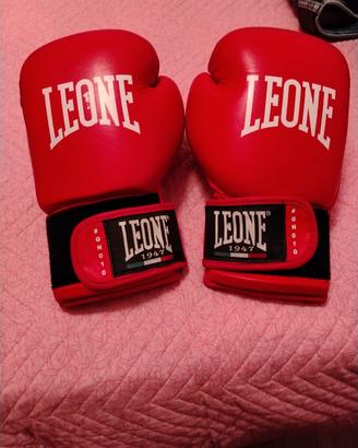 guanti da boxe 