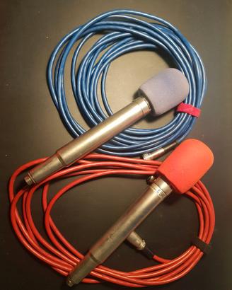 Microfoni Davoli Set 2 pezzi e cavi