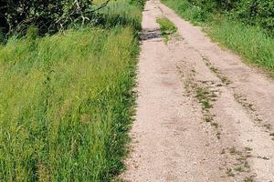 Uliveto terreno agricolo