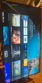 Televisore hisense rotto